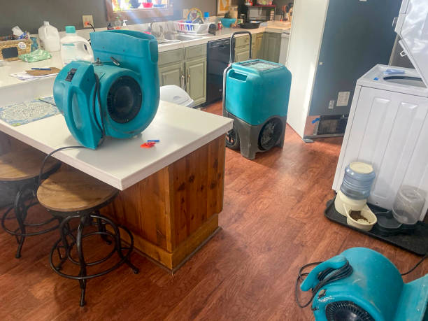 Best Fire Damage Restoration  in Broadmoor, CA