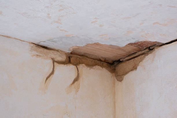 Best Water damage cleanup near me  in Broadmoor, CA