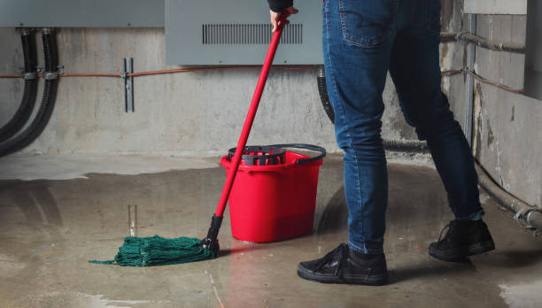 Best Mold removal after water damage  in Broadmoor, CA