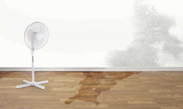 Best Flood restoration services  in Broadmoor, CA