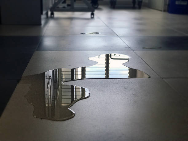 Best Water damage restoration near me  in Broadmoor, CA