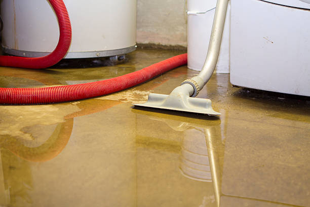 Best Flood restoration services  in Broadmoor, CA