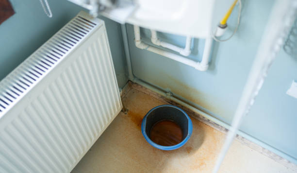 Best Local water damage restoration  in Broadmoor, CA