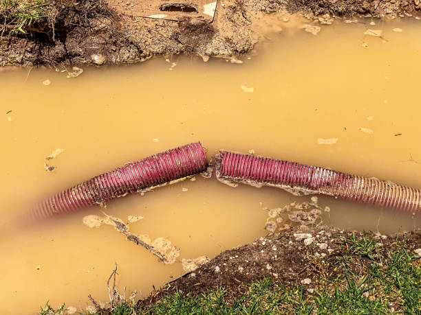 Best Emergency water damage restoration  in Broadmoor, CA