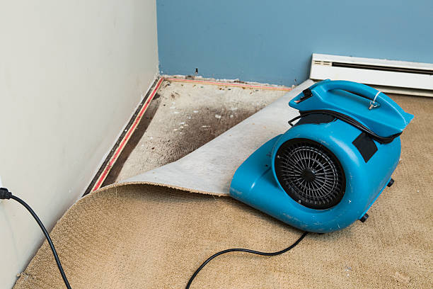 Best 24-hour water damage restoration  in Broadmoor, CA
